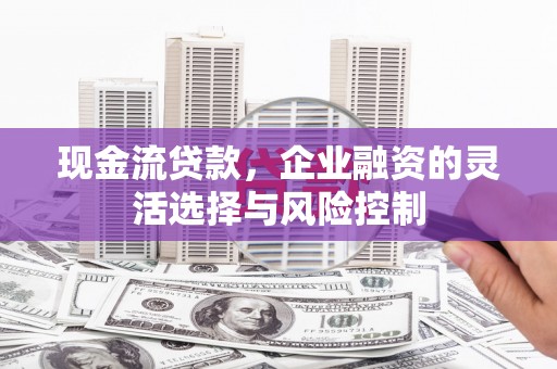 东西湖现金流贷款，企业融资的灵活选择与风险控制