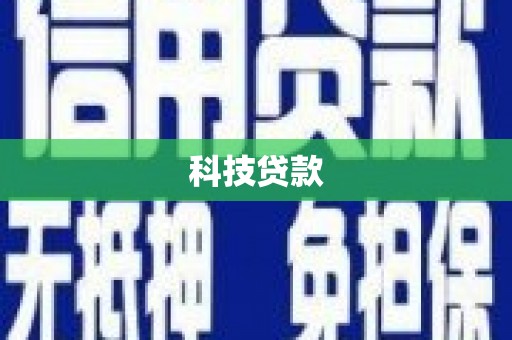 东西湖科技贷款