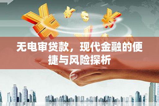 东西湖无电审贷款，现代金融的便捷与风险探析