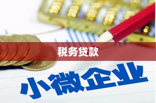 东西湖税务贷款