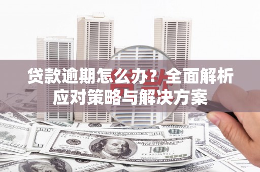 东西湖贷款逾期怎么办？全面解析应对策略与解决方案
