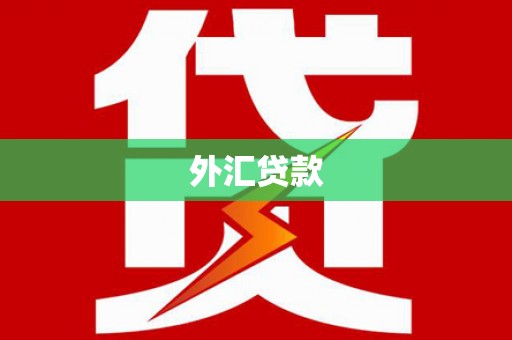 东西湖外汇贷款