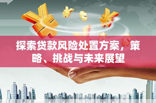 东西湖探索贷款风险处置方案，策略、挑战与未来展望
