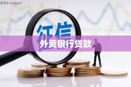 东西湖外资银行贷款