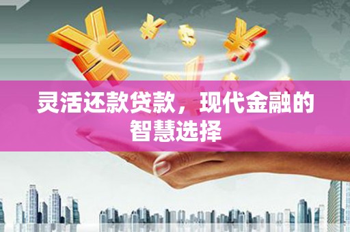 东西湖灵活还款贷款，现代金融的智慧选择