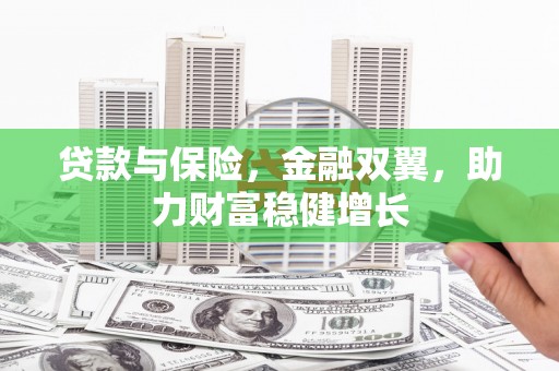东西湖贷款与保险，金融双翼，助力财富稳健增长
