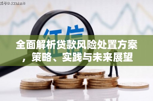 东西湖全面解析贷款风险处置方案，策略、实践与未来展望