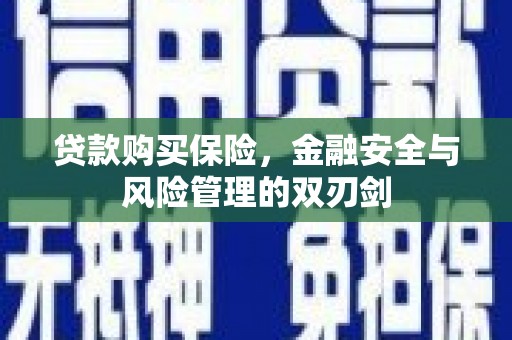 东西湖贷款购买保险，金融安全与风险管理的双刃剑