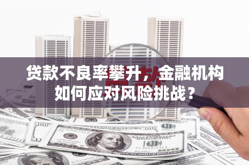 东西湖贷款不良率攀升，金融机构如何应对风险挑战？
