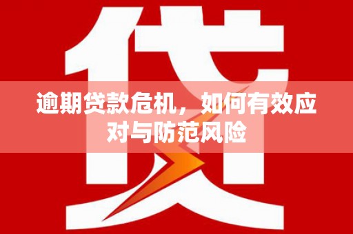 东西湖逾期贷款危机，如何有效应对与防范风险