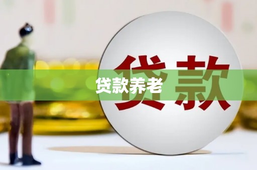 东西湖贷款养老