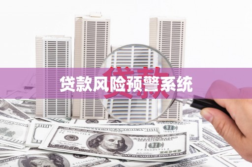 东西湖贷款风险预警系统