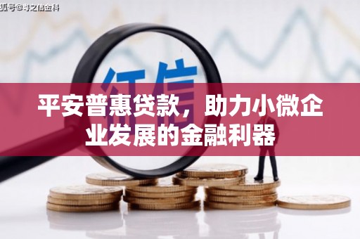 东西湖平安普惠贷款，助力小微企业发展的金融利器