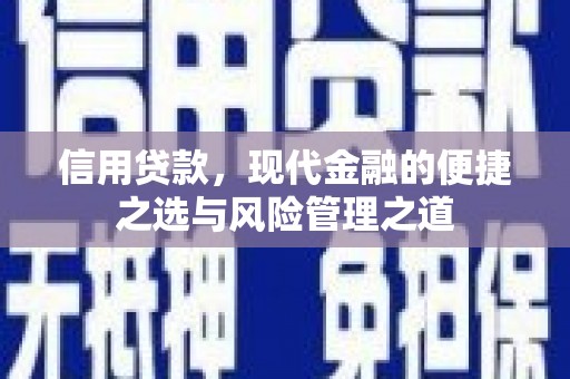 东西湖信用贷款，现代金融的便捷之选与风险管理之道