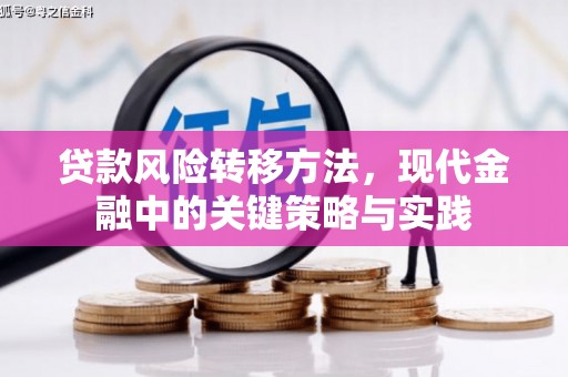 东西湖贷款风险转移方法，现代金融中的关键策略与实践