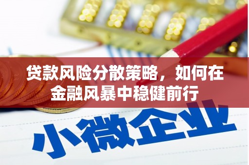 东西湖贷款风险分散策略，如何在金融风暴中稳健前行