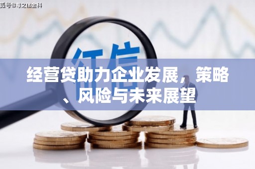 东西湖经营贷助力企业发展，策略、风险与未来展望