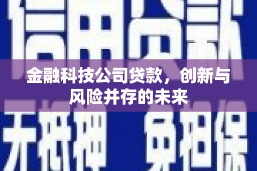东西湖金融科技公司贷款，创新与风险并存的未来