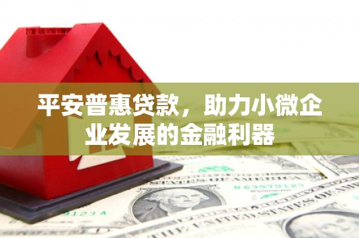 东西湖平安普惠贷款，助力小微企业发展的金融利器
