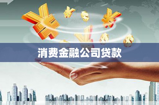 东西湖消费金融公司贷款