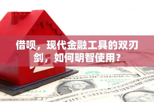 东西湖借呗，现代金融工具的双刃剑，如何明智使用？