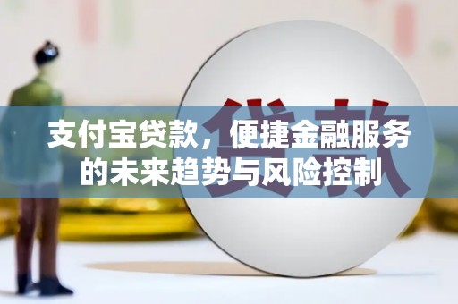 东西湖支付宝贷款，便捷金融服务的未来趋势与风险控制