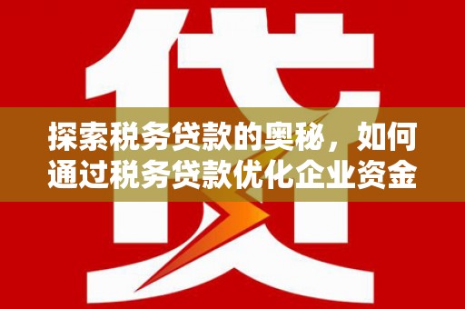 东西湖探索税务贷款的奥秘，如何通过税务贷款优化企业资金流