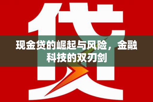 东西湖现金贷的崛起与风险，金融科技的双刃剑