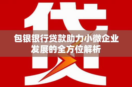 东西湖包银银行贷款助力小微企业发展的全方位解析