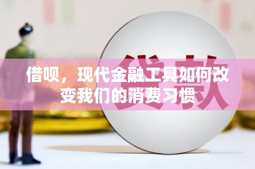东西湖借呗，现代金融工具如何改变我们的消费习惯