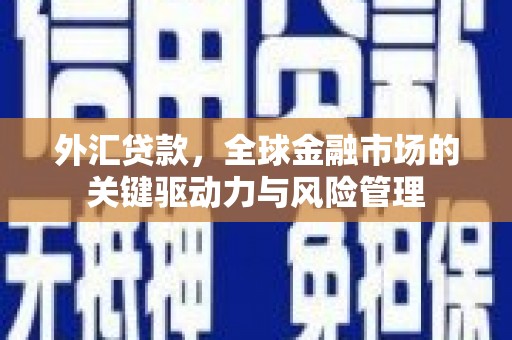 东西湖外汇贷款，全球金融市场的关键驱动力与风险管理