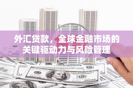 东西湖外汇贷款，全球金融市场的关键驱动力与风险管理