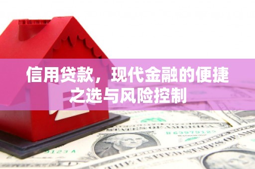 东西湖信用贷款，现代金融的便捷之选与风险控制