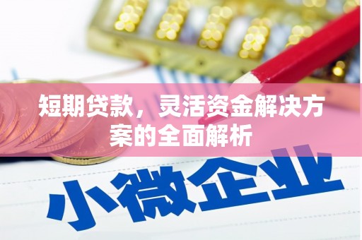 东西湖短期贷款，灵活资金解决方案的全面解析