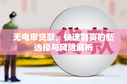 东西湖无电审贷款，快速融资的新选择与风险解析
