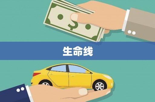 东西湖生命线