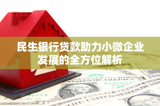 东西湖民生银行贷款助力小微企业发展的全方位解析