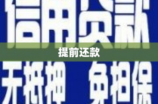东西湖提前还款