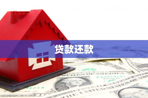 东西湖贷款还款