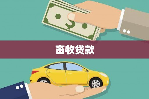 东西湖畜牧贷款