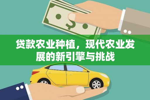 东西湖贷款农业种植，现代农业发展的新引擎与挑战