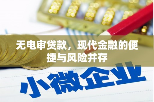 东西湖无电审贷款，现代金融的便捷与风险并存