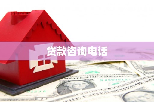 东西湖贷款咨询电话