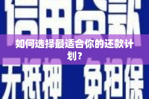 东西湖如何选择最适合你的还款计划？