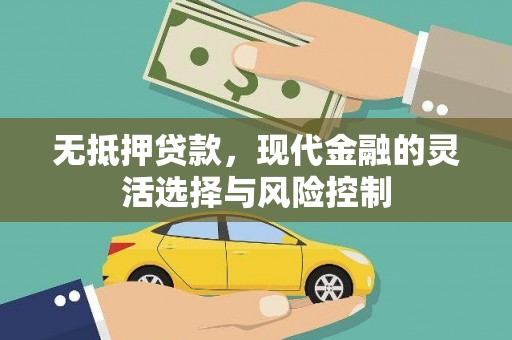 东西湖无抵押贷款，现代金融的灵活选择与风险控制