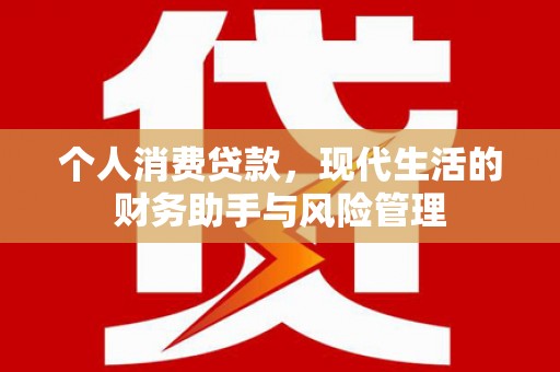 东西湖个人消费贷款，现代生活的财务助手与风险管理
