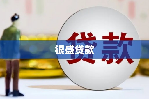 东西湖银盛贷款