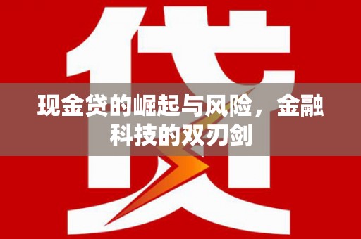 东西湖现金贷的崛起与风险，金融科技的双刃剑