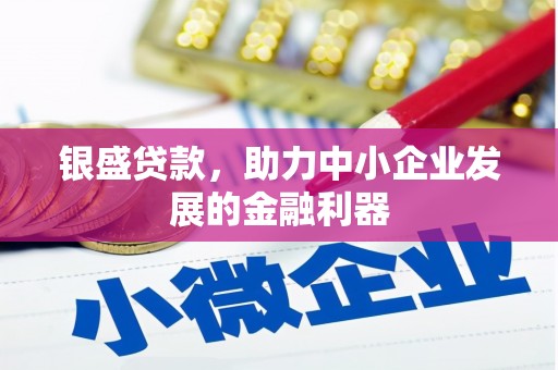 东西湖银盛贷款，助力中小企业发展的金融利器