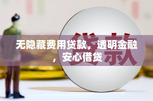 东西湖无隐藏费用贷款，透明金融，安心借贷
